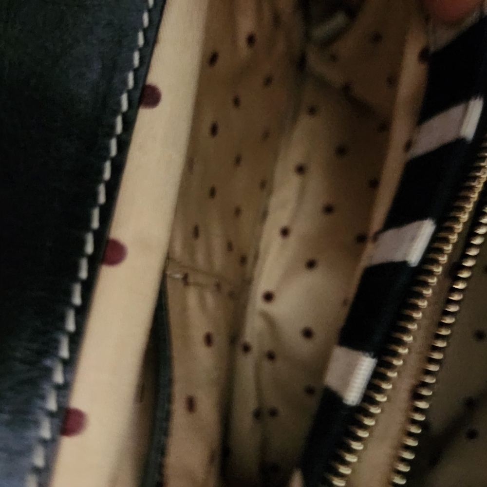 Kate Spade Black and Red Striped Mini Bag - Picture 9 of 10